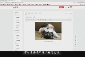 在头条号发表图集或文章时，怎么对图片进行必要的处理？视频封面