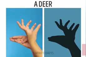 孩子必备手势影子动物，不学会就亏大了，家长赶紧看！