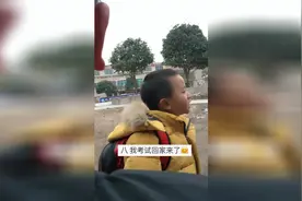 这年头孩子能考70分就不错了 别忘了当年你才考了20分视频封面