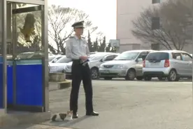 这只猫一直在警局附近徘徊，最后居然给警局送上这份大礼图片