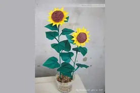 你还舍得扔掉蛋糕盘吗？来看看这个！图片