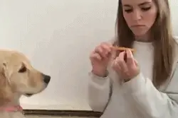 一只海狮在池里睡觉，还一脸满足的样子！海狮：我想一个人静静图片