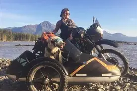 这只热爱冒险的拉布拉多，简直酷毙了！图片