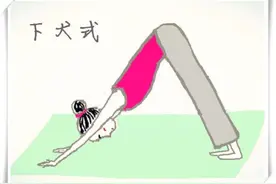 Look! 瑜伽汪星人亲自示范"下犬式"图片