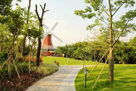 深圳周边值得一去的好地方（一）荷兰花卉小镇图片