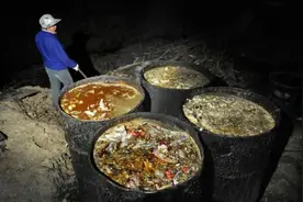 地沟油之毒，毒在哪里？图片