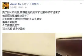 屋内总是有声响却找不出原因，直到发现家具上一个洞，才解开真相图片