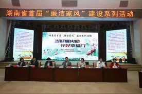 他“空降”湖南3个月，苏荣女婿落马了图片