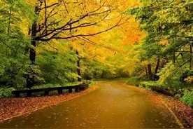 一次就好! 我陪你到天荒地老!图片