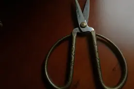 名不虚传的张小泉剪刀图片