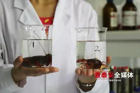 小龙虾是否含寄生虫？到底能不能吃？用实验告诉你答案图片