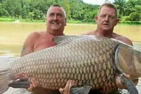 湄公河惊现巨型鲤鱼，比小学生还大！视频封面