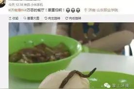学校加餐？！山东职业学院餐厅吃出蚯蚓图片
