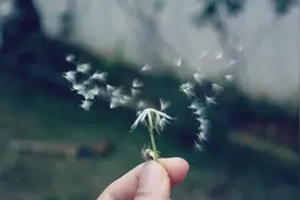 谈了三年的女友，准备结婚了，她和我提这种要求图片