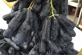 关于无核葡萄胚挽救育种的一点感想图片