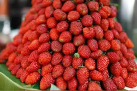 生活中，碰壁、不如意是常事，十首轻松治愈系的英文歌曲送给你~图片