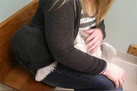 狗狗得知自己要打针后的反应，瞬间我就笑点低了图片