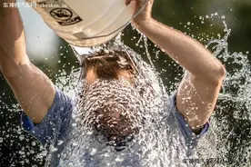 原创《谁在挑战实木家具？》图片