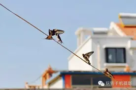 遇到这几种情况，你还用自动对焦就大错特错了！图片