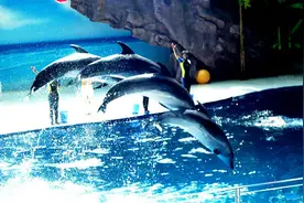 沈阳六一儿童节旅游线路_六一旅游去哪玩，实惠的推荐七个线路图片