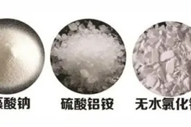 致人弱智的假海蜇，10年前就生产了，还是原来的配方那个味图片