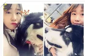 为什么叫“雪碧”？因为已经有只叫“可乐”了，还能再负责点吗？图片