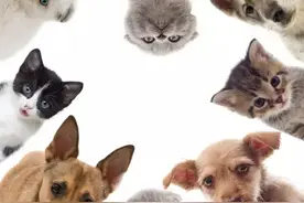 我们只认“钱”不认“字”图片