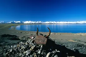 你可以对我指指点点，但无权干涉我的生活。图片