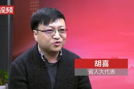 两会零距离丨胡喜代表：无现金支付已经领先世界图片