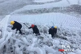 迎战冰雪 湖南联通昼夜抢修保通信图片