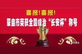 蒙自法院网上拍卖多套蒙自房产！价格实惠！包括中央大街、风尚国际好多名盘！图片