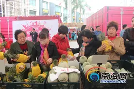 海口保税年货节：台湾凤梨受市民热捧 特价10元/个图片