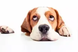 [ 福利 ] 爱晒步数的亲们看过来！图片