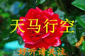 星座合唱团-天马行空.mp3视频封面