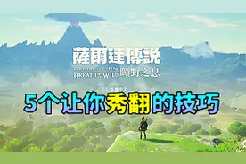 中文版来了，教你5个让你秀翻的技巧｜塞尔达传说荒野之息