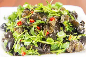 木耳这样做出来，上桌比肉都抢手，让大厨给你说几个关键诀窍