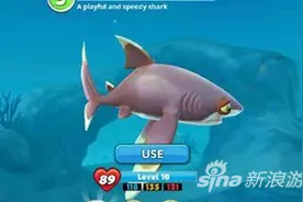 饥饿鲨世界白顶礁鲨好不好用 详解白顶礁鲨图片