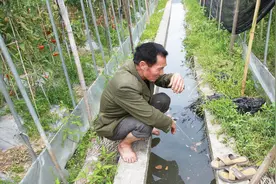 农业种植保险，究竟一亩地交多少？不是你想的那么多视频封面