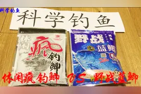 休闲疯钓鲫大战野战蓝鲫，谁是最广谱的野钓饵料？视频封面