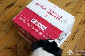 没有颜值的铁锅不是好音箱 — harman/kardon 哈曼卡顿 Onyx Studio 2代 无线蓝牙音箱 开箱及简评图片