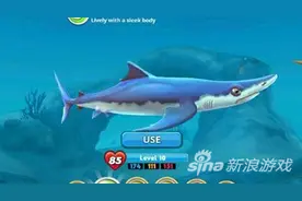 饥饿鲨世界大青鲨用法详解 详解大青鲨心得图片