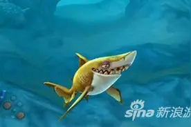 饥饿鲨世界伯爵鲨好不好用 详解伯爵鲨鱼图片
