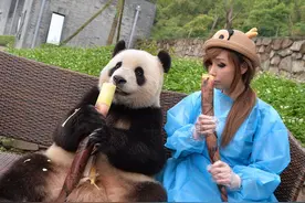 瘦身女王郑多燕来了！今宠大熊猫 明天领跑女子半马图片