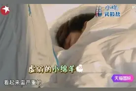 从张艺兴晕倒深八：他到底凭什么是“极挑”团宠？图片