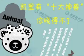 贵州方言系列之凯里有“十大神兽” 你晓得不？图片