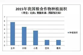 哪个区域玉米品种结构受震荡最大？哪些品种制种在下降？“双降”是霜降？图片