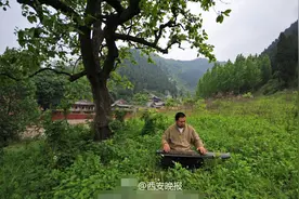 男子为找安静地方居秦岭山脚下 独坐小院操古琴图片