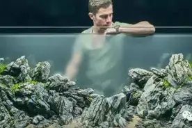 水族 | 大型石景缸！图片