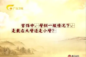 马未都：首饰中，臂钏一般情部分下，是戴在大臂还是小臂？视频封面