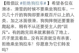 #拒绝狗拉车#盘点那些心酸的“狗拉车”图片